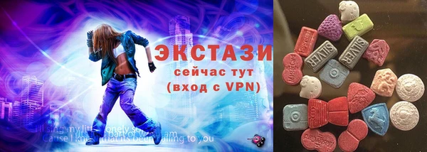 крисы Кулебаки