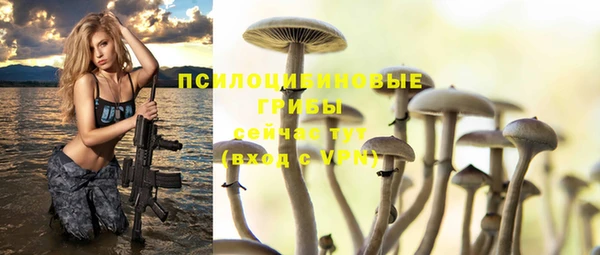 круглые Касимов