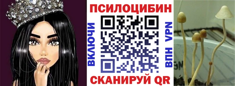 магазин продажи   Ейск  Галлюциногенные грибы Magic Shrooms 