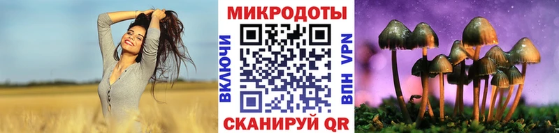 Галлюциногенные грибы Cubensis Ейск